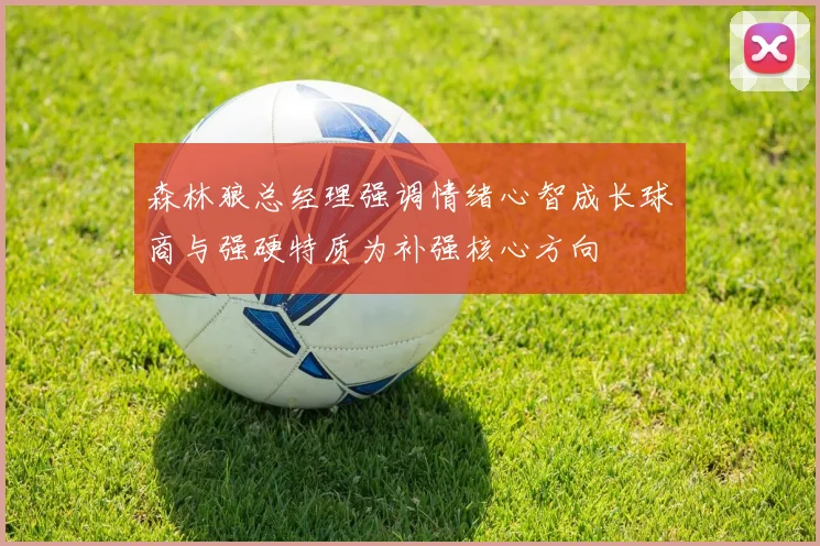 森林狼总经理强调情绪心智成长球商与强硬特质为补强核心方向